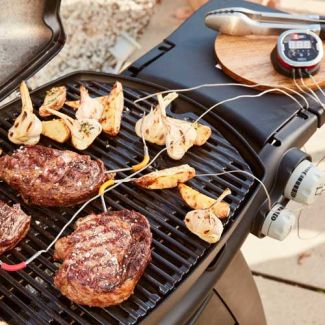 BARBACOA-WEBER-GAS-Q-3000