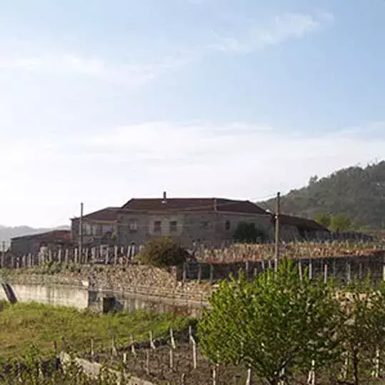 Vino blanco Gomariz