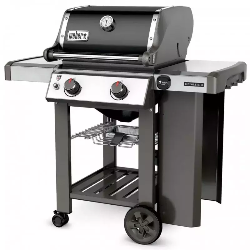 barbacoa weber gas genesis II