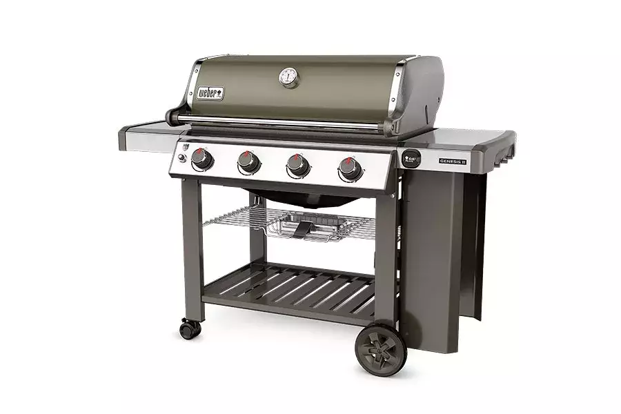 barbacoa weber gas genesis II