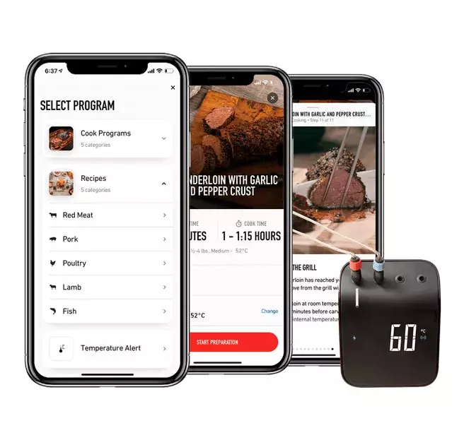 termometro weber connect